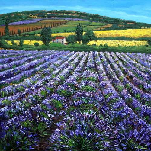 Lavender and Sunflowers