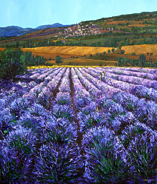 Walking Through Lavender