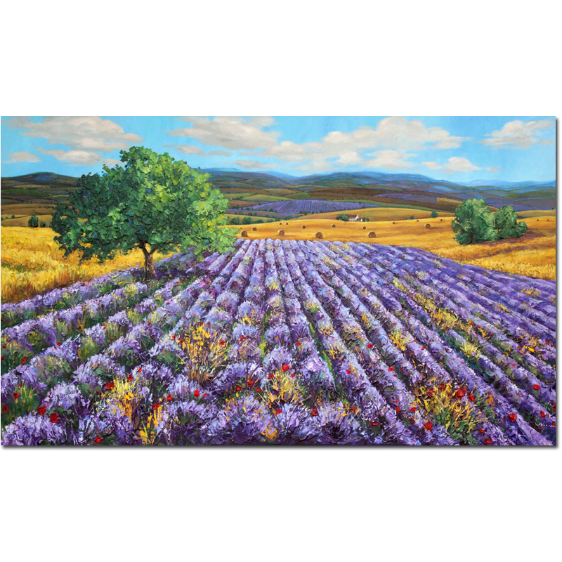 Dreaming of Provence