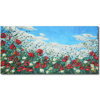 Poppies and Daisies