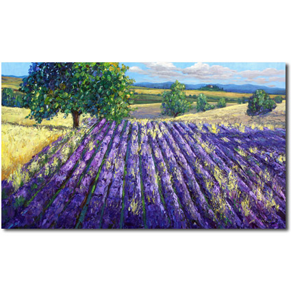 The Colors of Provence