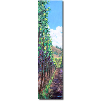 Walking Through Wine Country