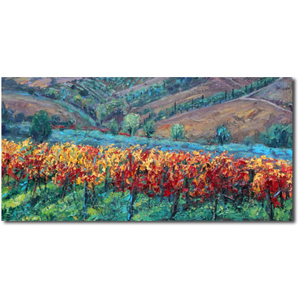 Romance of the Vines