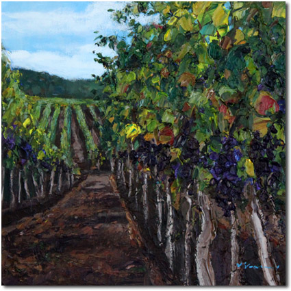 Vineyard Walk