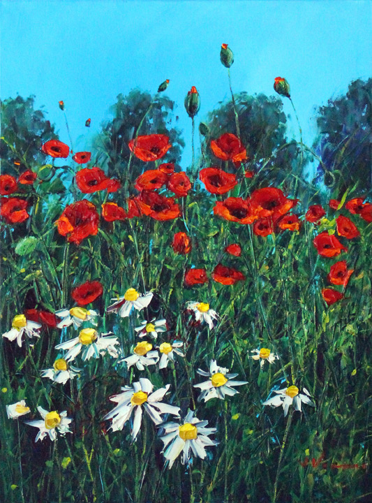 Daisies and Poppies