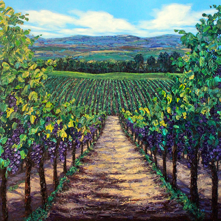 Summer in Wine Country
