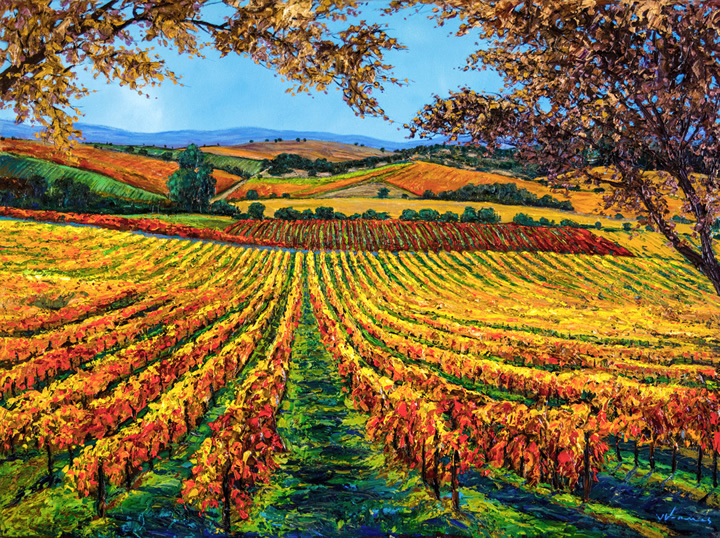Vineyard Dreams