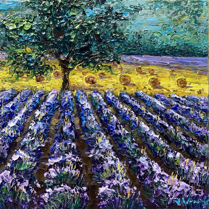 Lavender and Hayfields