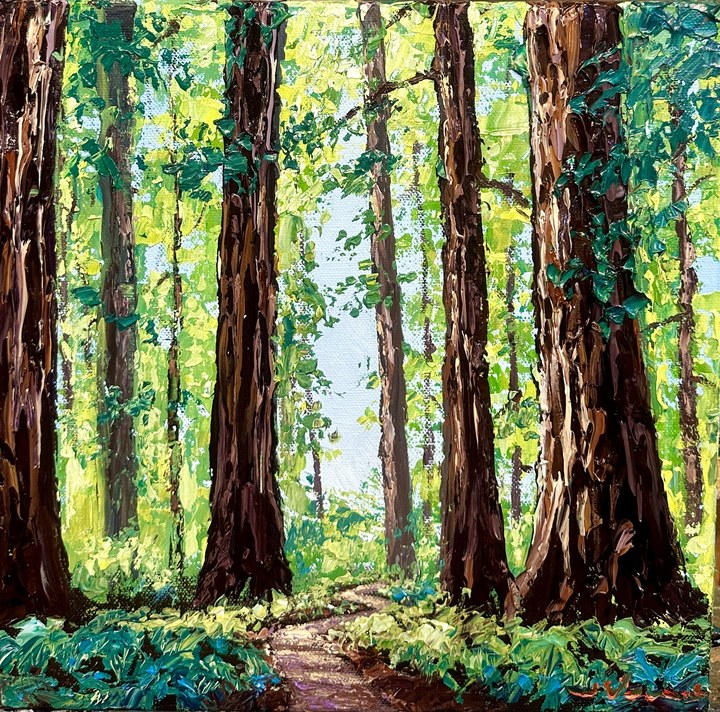 Redwood Stroll