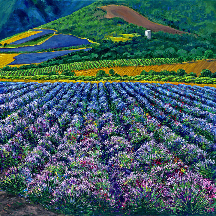 Provence Resplendent