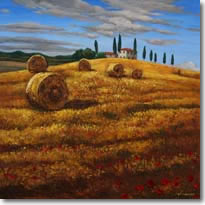 Hay In Tuscany 3
