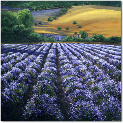 Summer In Provence