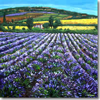 Lavender And