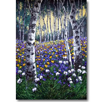 Evening Meadow
