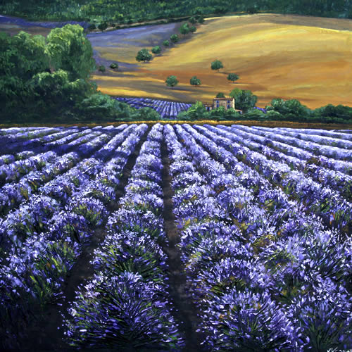 Summer In Provence