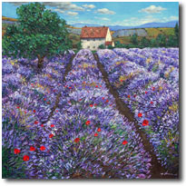 Lavender Haze