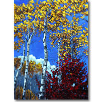 Aspen Blue6