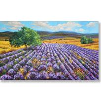 Dreaming Of Provence