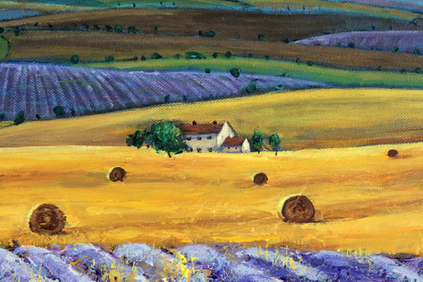 Dreaming Of Provence Closeup