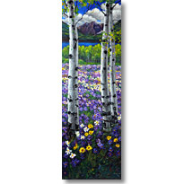 Colorado Spring4