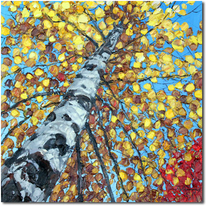 Day Dreaming Vi 425