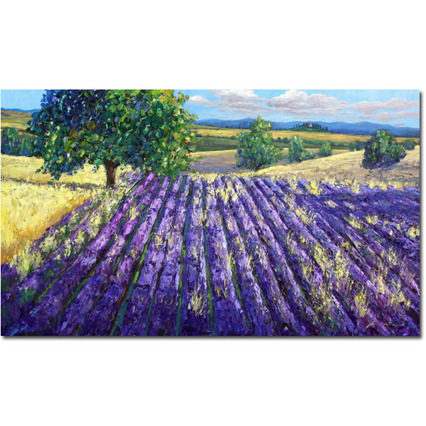 The Colors Of Provence 600px Drop