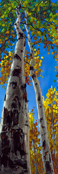 Skyward L