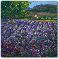 Provence Oasis 205 Altpx