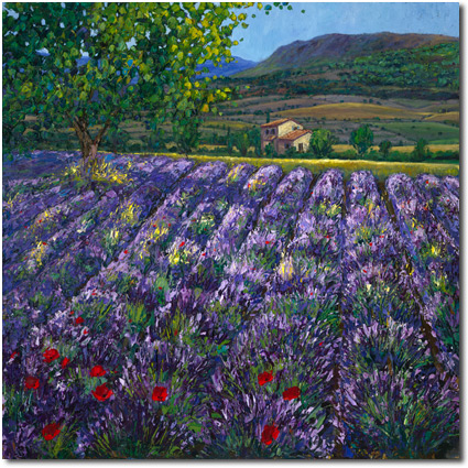 Provence Oasis 425 Altpx
