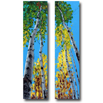 Skyward7
