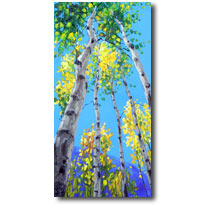 Skyward3