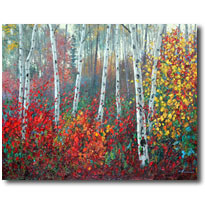 Aspen Mystery