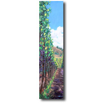 Walking Through Wine Country