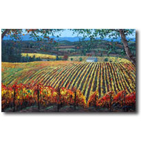 Vineyard Art from Sonoma, Younteville, Napa, and Italy