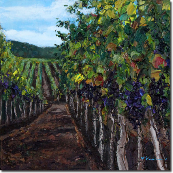 Vineyard Walk 600px Drop