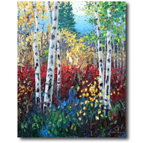 Colorado Colors