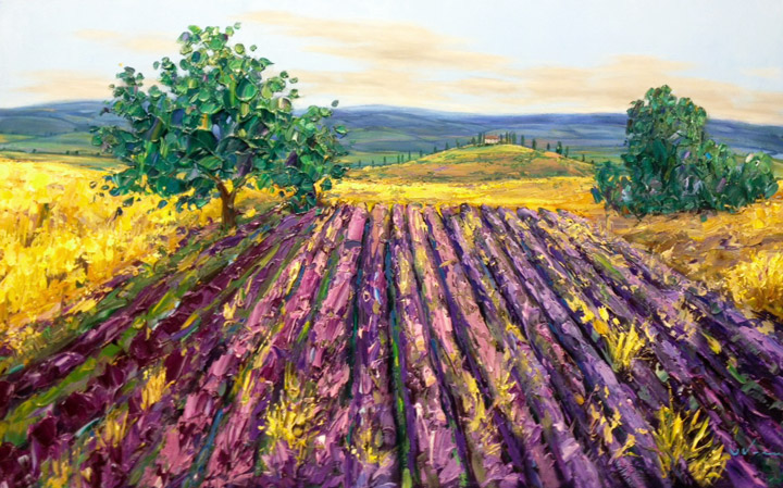 Lavender Field