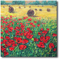 Poppies And Hayfields
