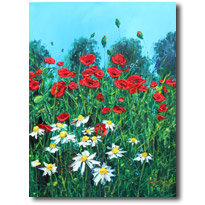 Daisies And