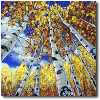 Vivid Fall