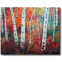 Colors Of Colorado