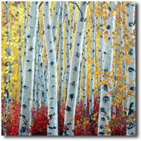 Aspen Sunshine6