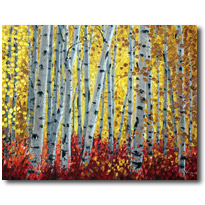 Aspen Sunshine7