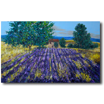 Lavender Farm