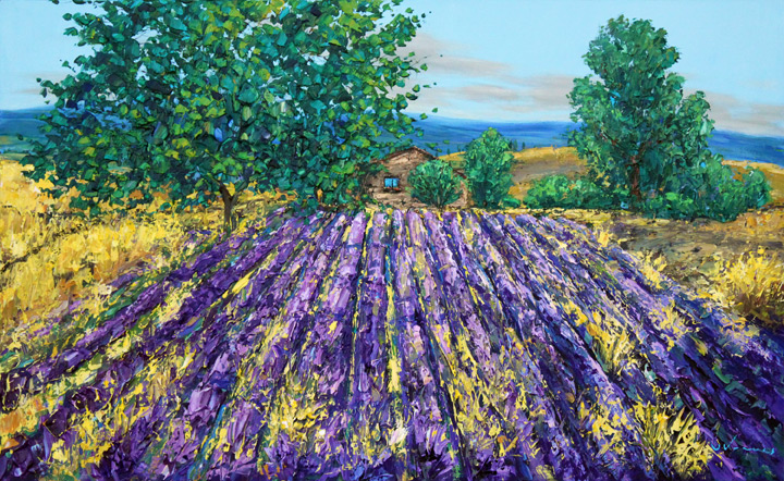 Lavender Farm 720pxorig
