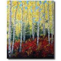 Rocky Mountain Fall