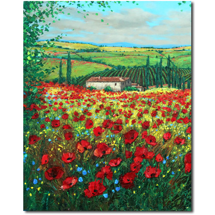 Tuscan Romance Poppy Field Art Print Crop