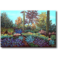 Sonoran Oasis