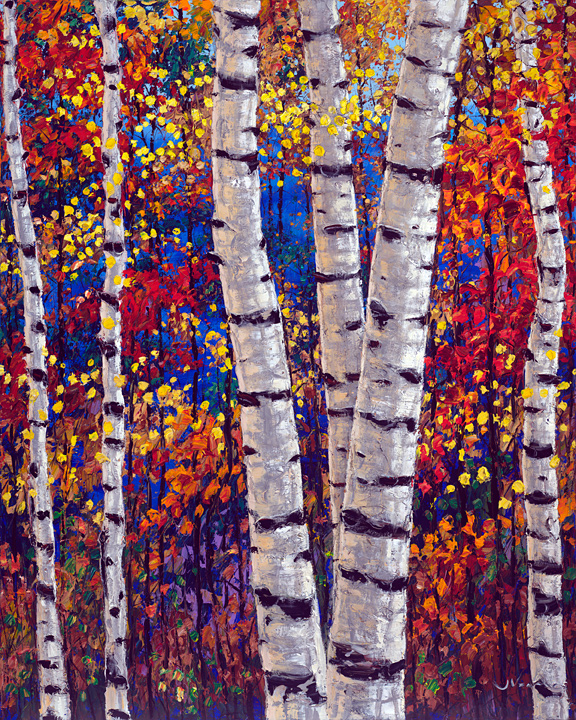 Confetti Heights4