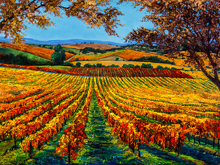 Pr Vineyard Dreams